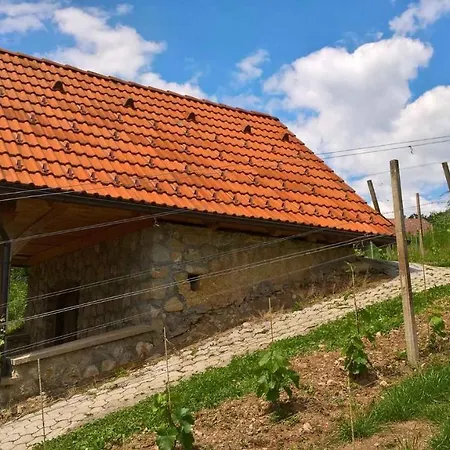 In Kranjska Krain 26062 * Otočec