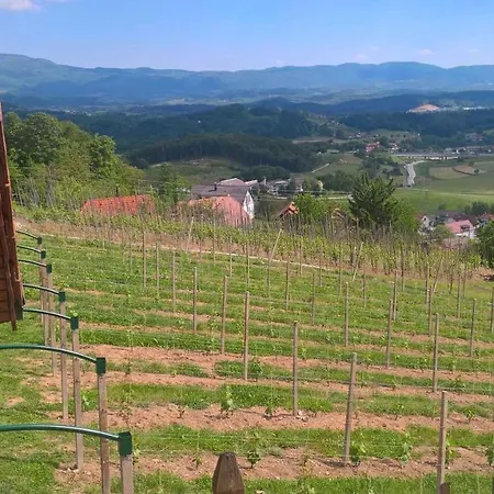 Prázdninový dům In Kranjska Krain 26062