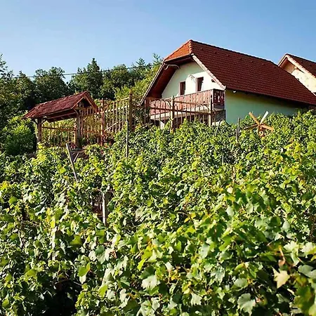 Holiday home In Kranjska Krain 26062 Otocec