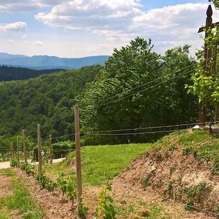 Tatil Evi In Kranjska Krain 26062
