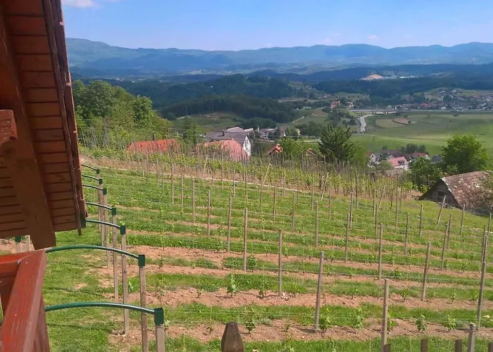 Vakantiehuis In Kranjska Krain 26062