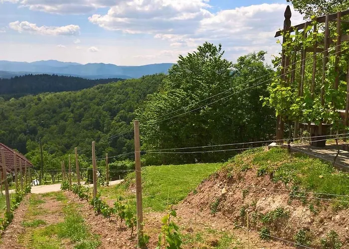 Vakantiehuis In Kranjska Krain 26062