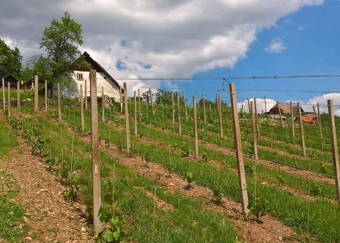 Vakantiehuis In Kranjska Krain 26062 *